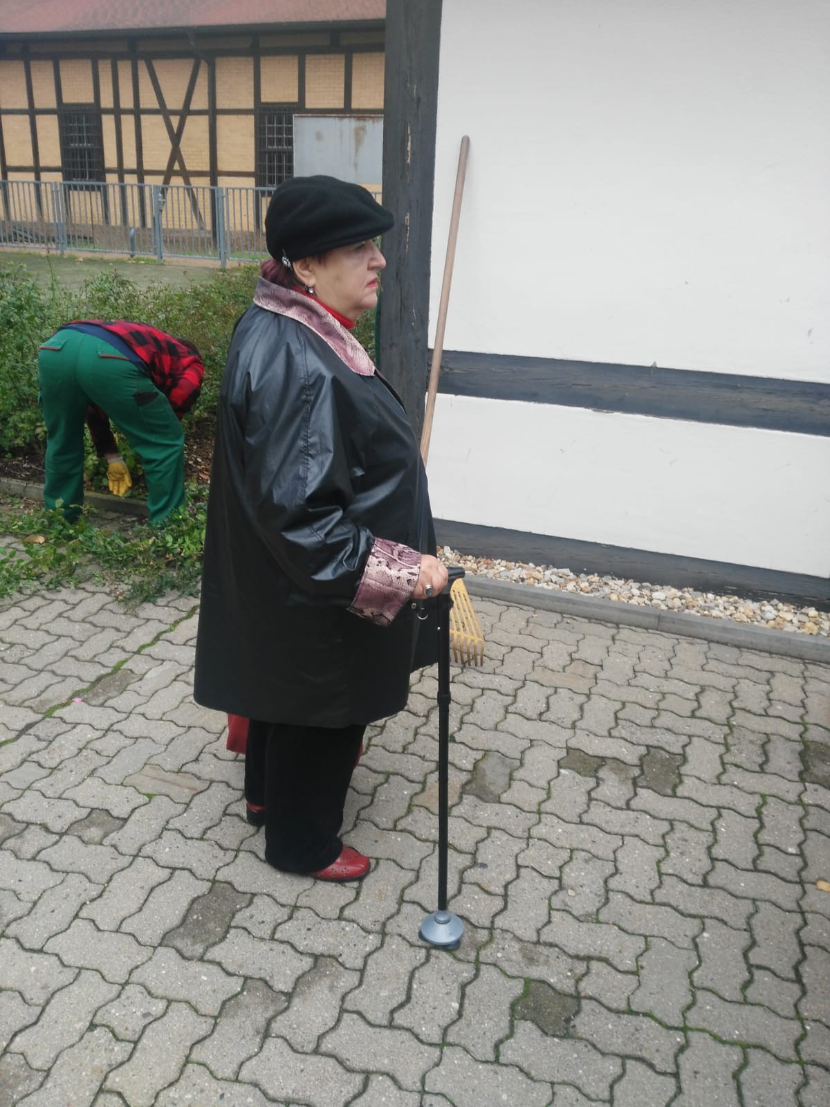 Bild 15
